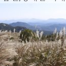 물결공원 화장실 이미지