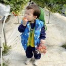 다솜농장 | 다솜농장 딸기농장체험 어린이집 현장학습 후기