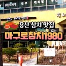 마구로참치1980 이미지