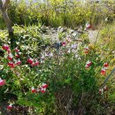 체리공인중개사사무소 이미지