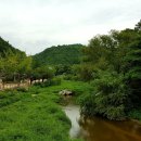 솔숲갈래길 이미지