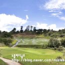 포레스트힐C.C 이미지