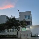 화정글샘도서관 화장실 네이버블로그