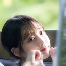 강남-238 이미지