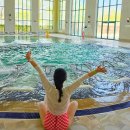 돌고래목욕탕 | 오크벨리 수영장 유아풀 온수풀 수심 자유수영 후기