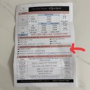 그레이스이인 | [그레이스비] 돌 드레스 피팅 후기 &amp; 추가 비용