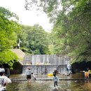 금화계곡주차장 | 경북 칠곡 물놀이 장소 금화계곡