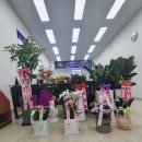 금산행정사사무소 이미지