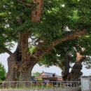 대강면 평촌마을 이미지