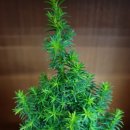 무이농장 이미지