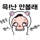 캔버스 호스텔 이미지