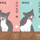감자캣 이미지