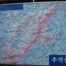 순천-55호 이미지