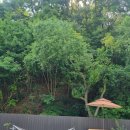 하구암리21 이미지