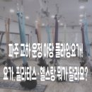 아이비헬스 | 파주 교하 운정 야당 플라잉요가!요가·필라테스·헬스랑 뭐가 달라요?