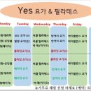 예스앤예스