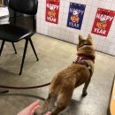 헤이호미 이미지