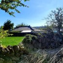 스테이 겨를 이미지