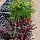 상춘농장 이미지