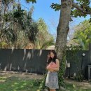 세영모텔 이미지