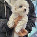 장수서창동-15 이미지