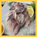 삼바리회센타 | 한라산 등반 후 필수 코스! 제주도민 찐맛집 삼바리회센타 후기