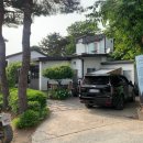 아잘리아그린 이미지