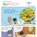 뜰앞에