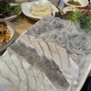 고양 주엽 횟집 :: 일산주민맛집 갯마을세꼬시에서 도다리세꼬시