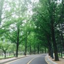 구미 금오산 케이블카/ 대구 카페 투어 loft apsan, Add up_ 경상도 여행