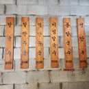 용자1 관평점 이미지