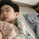초대어린이집(구개나리어린이집) | 3월 3주 기록📝