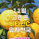 유자향기2 이미지