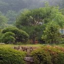 늘푸른집 이미지