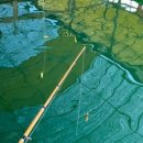 백호좌대 이미지