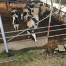 양산목장 이미지