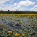 낙동강체육공원 축구장 화장실 이미지