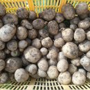 오륜농장 이미지