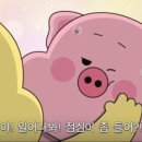 속초세꼬시 이미지
