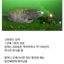 상어피시방 이미지