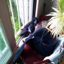 죽도세탁 이미지