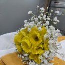 안성장례식장 이미지