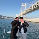 부산 광안리 요트투어 | 광안리 출발 요트투어 | 위드요트 내돈내산 후기