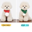 댕댕샵 이미지