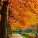 늦가을 카페 음악 30곡 모음 | Late Autumn Café 이미지