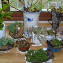 초롱농장 이미지