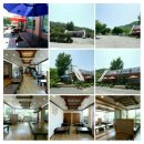 벚꽃나들버섯집 이미지