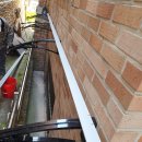 사이,담 이미지