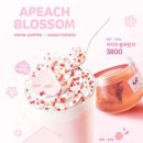 정블라썸