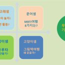 행복인성센터 이미지